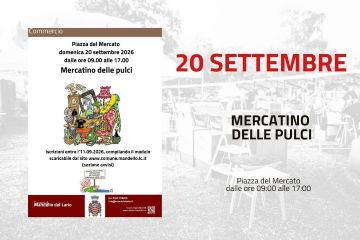 l'immagine ha puro scopo descrittivo dell'evento