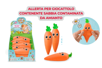L'immagine riporta il titolo dell'avviso e una raffigurazione dell'oggetto in questione descritto nel testo dell'avviso